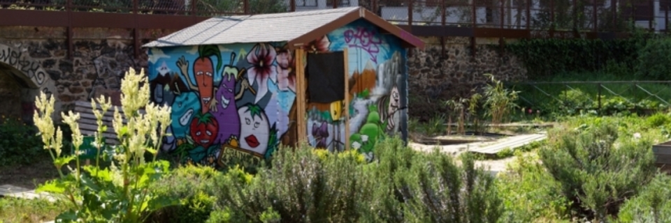 Jardins collectifs : la main verte en ville