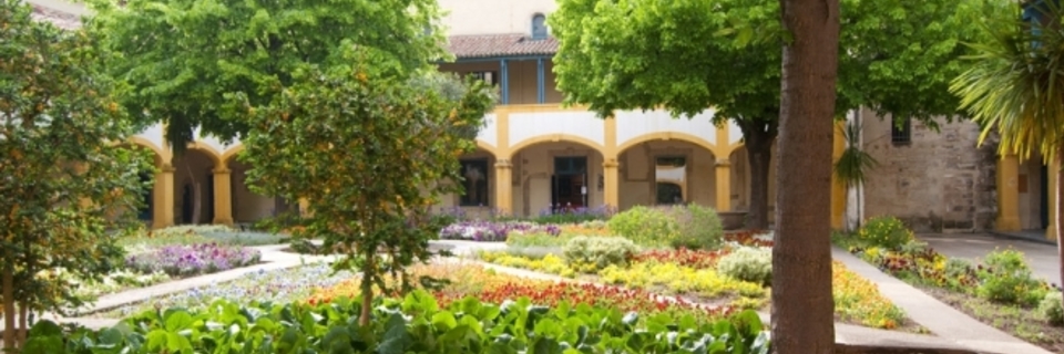 Sur les traces de Van Gogh