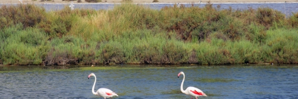 En juin, prenez un congé estival avant l’heure ! 