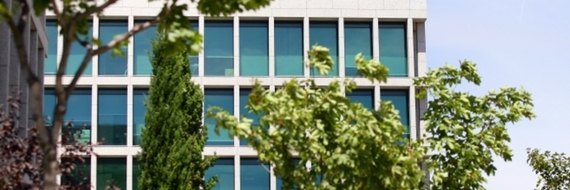 Placement immobilier facile : la pierre-papier