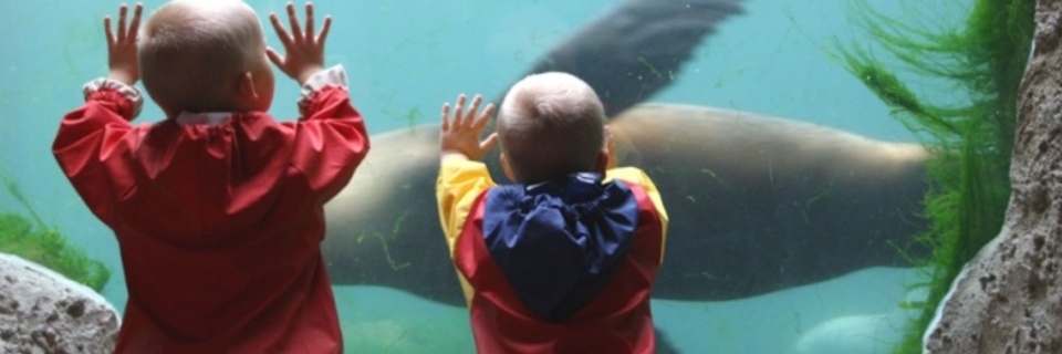 Les plus beaux aquariums de France