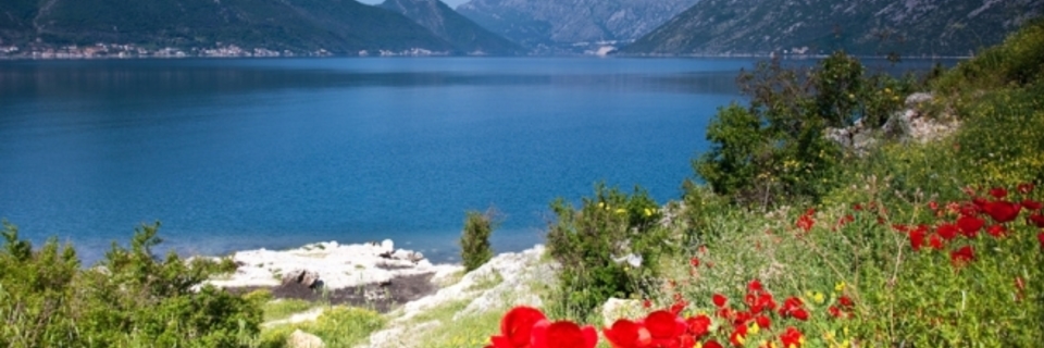 En juillet, offrez-vous un coin de paradis !