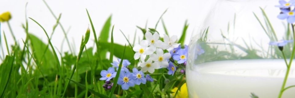 Ménopause : quelle alimentation privilégier ?