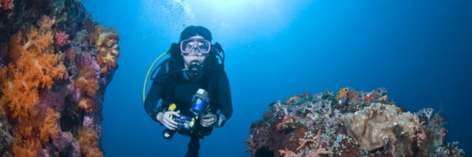 La plongée sous-marine en toute sécurité