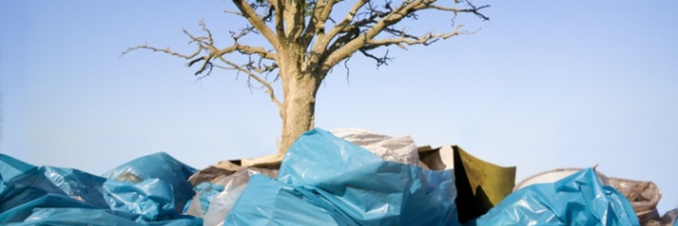 Les Français, rois du gaspillage ?