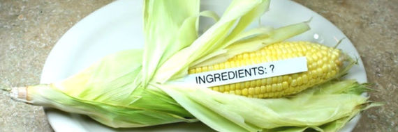 OGM : faut-il craindre les aliments génétiquement modifiés ?