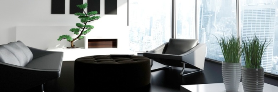 Dépolluez l'air de votre intérieur grâce aux plantes