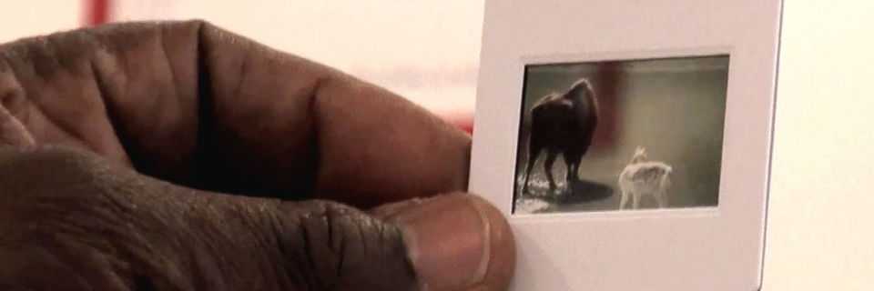 Pourquoi et comment numériser des photos ?