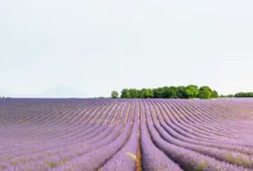 Surmonter le stress ensemble, cercle de parole et d'hypnose