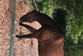 Alternative Vincennes / Montfort l'Amaury