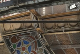 Galeries LAFAYETTE + PRINTEMPS / 2h