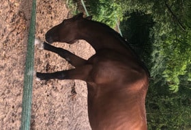 Alternative Vincennes / jardins toits gare Montparnasse