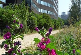 Visite guidée : Ceinture Verte au sud de Paris 13e