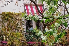 Rue Mouffetard, promenade commentée