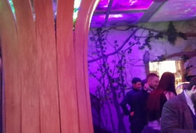 Duo Jazz/Swing Manouche 🎻 🎶 au Bar @153 🍸 🍹