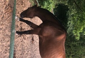 Alternative Vincennes / Noisy-le-Grand Palais d Abraxas