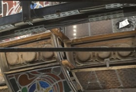 Galeries LAFAYETTE + PRINTEMPS / 2h
