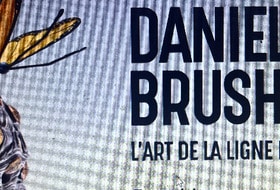 « Daniel Brush, l’art de la ligne et de la lumière »