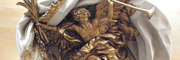 St Roch,église  des artistes, de Corneille à Yves St Laurent