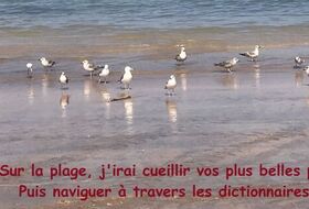 Ecriture créative