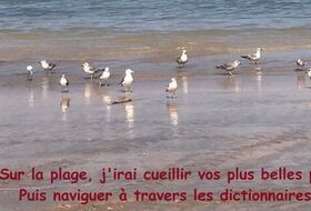 Ecriture créative