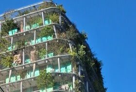 Quartier de la Bibliothèque Mitterrand, promenade commentée
