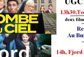 Films Tombé du ciel et Fjord