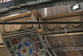 Galeries LAFAYETTE + PRINTEMPS / 2h