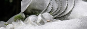 Balade photo et pique nique au Jardin d'"agronomie Tropicale