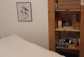 tuina (massage d'énergétique chinoise)