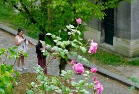 Balade photo "Femmes de Pierre au Père Lachaise"