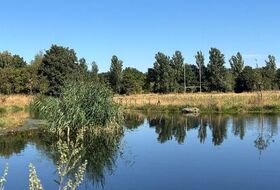 Marche au bois de Vincennes vendredi 4 septembre