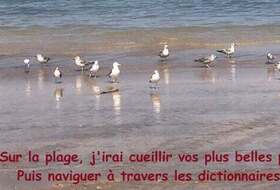 Ecriture créative