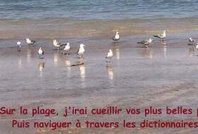 Ecriture créative