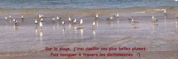 Ecriture créative