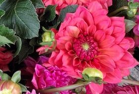 Cimetière Montmarte, promenade commentée