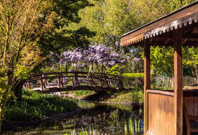 RANDONNEE ILE IMPRESSIONNISTES CHATOU+RESTAURANT(optionnel)