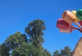  visite guidée : Les jardins des Champs-Élysées