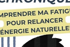 Conférence sur la fatigue chronique