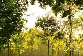 MARCHER AU PARC