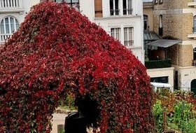 Montmartre et son cimetière St.Vincent, promenade commentée