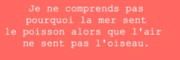PARTAGE de DESSINS HUMORISTIQUES ou DICTONS
