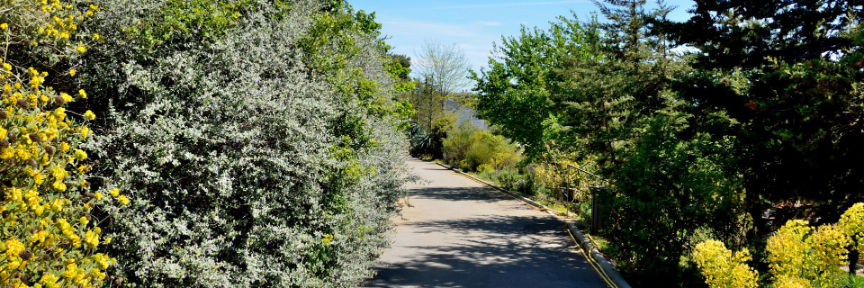 LE JARDIN BOTANIQUE DE NICE