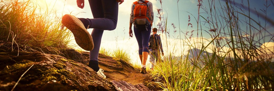 Promenade En Foret De Maisons Laffitte