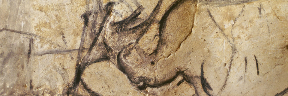Http Archeologie Culture Fr Chauvet Fr Visite Virtuelle
