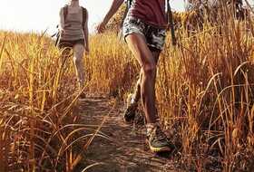 marche tonique avec ou sans baton