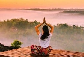 Qi Gong de la Marche à Versailles - ou proche de -