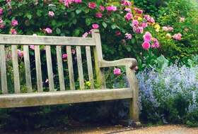 Voyage en Crète du 11 au 18 octobre 2026