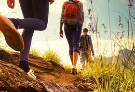 Rando, forêt de St Germain en Laye