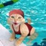 Avatar lucylee
